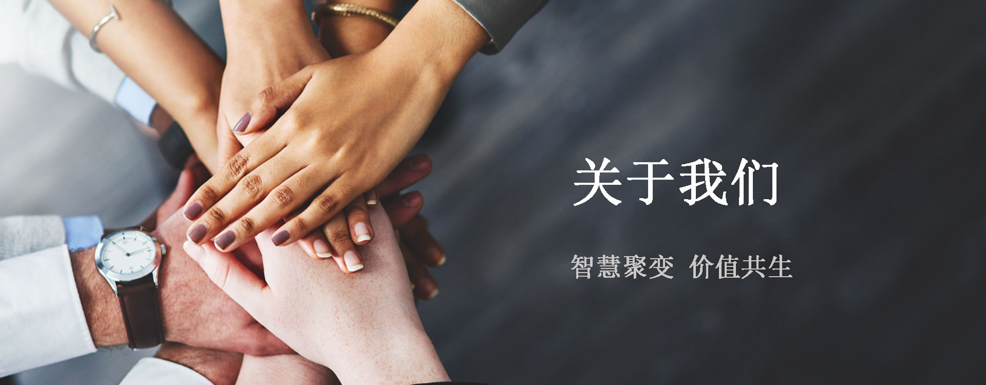 洛阳朴源智能科技有限公司